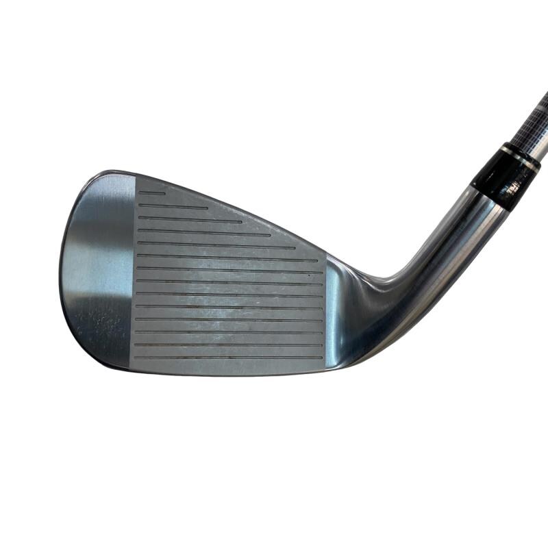 ���c�@�����������@�w�@�S�r�@���f�B�[�X�i���{���F�S�{�Z�b�g�j