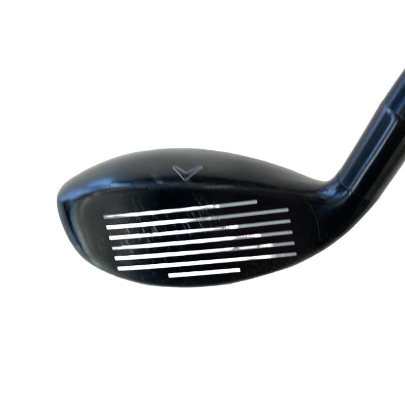 �w�Q�@�g�n�s�@�t�S