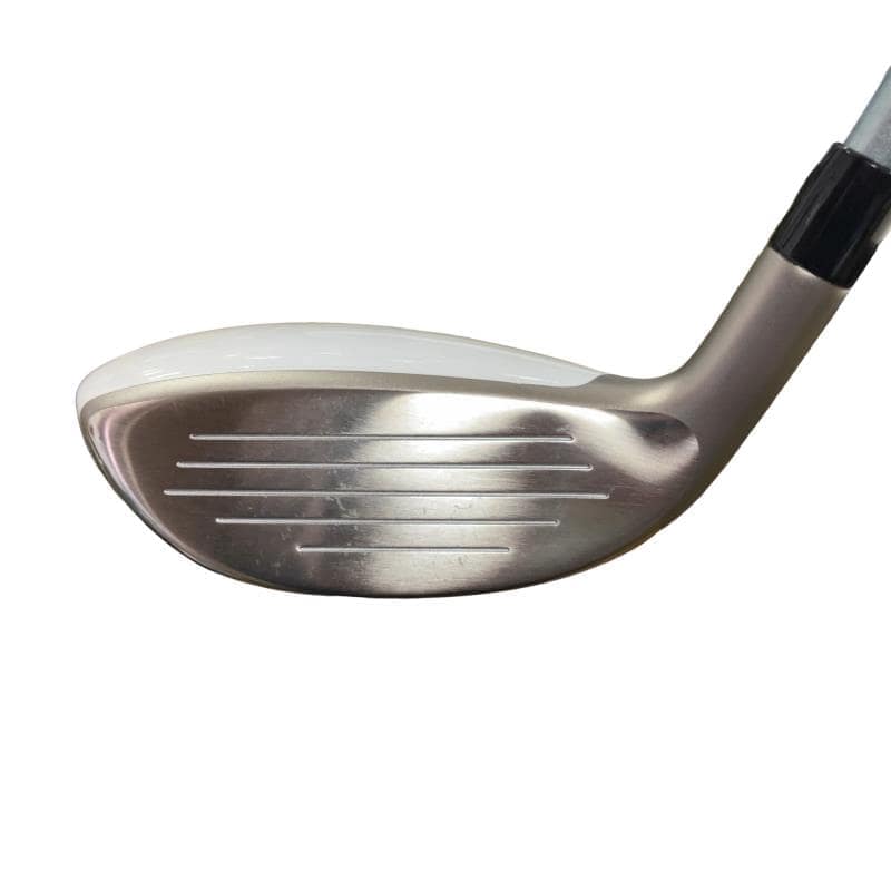 �a�q�|�w�@�t�T�@���f�B�[�X