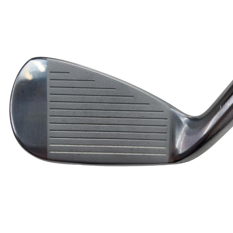 �������������@�q�l�w�@�t�c�{�Q�@�V�r�i���{���F�V�{�Z�b�g�j