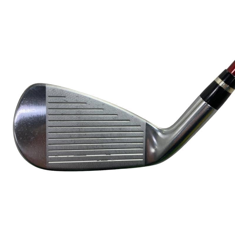 �������������@�q�l�w�@�t�c�{�Q�@�V�r�i���{���F�T�{�Z�b�g�j