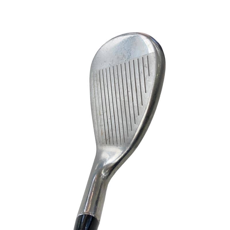 �w�Q�@�g�n�s�@�r�v