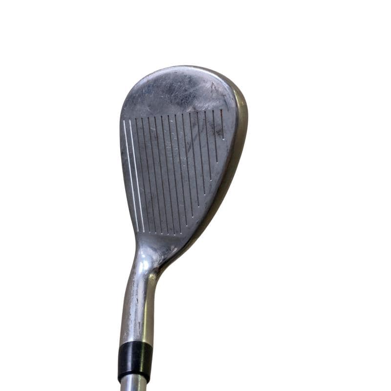 �w�@�g�n�s�@�r�v