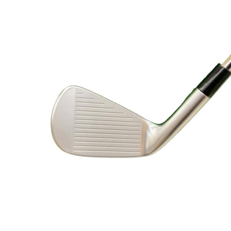 �s�����������@�l�������@�o�E�V�b�a�i�Q�O�Q�S�j�@�T�r�i���{���F�T�{�Z�b�g�j