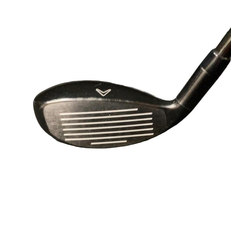 �w�Q�@�g�n�s�@�t�R