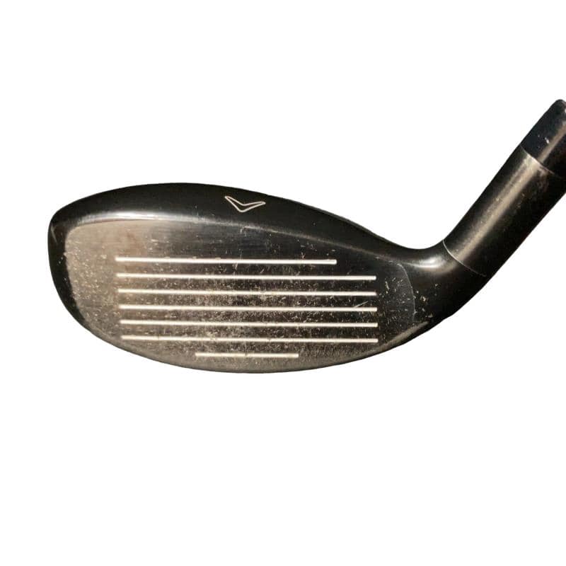 �w�Q�@�g�n�s�@�t�T