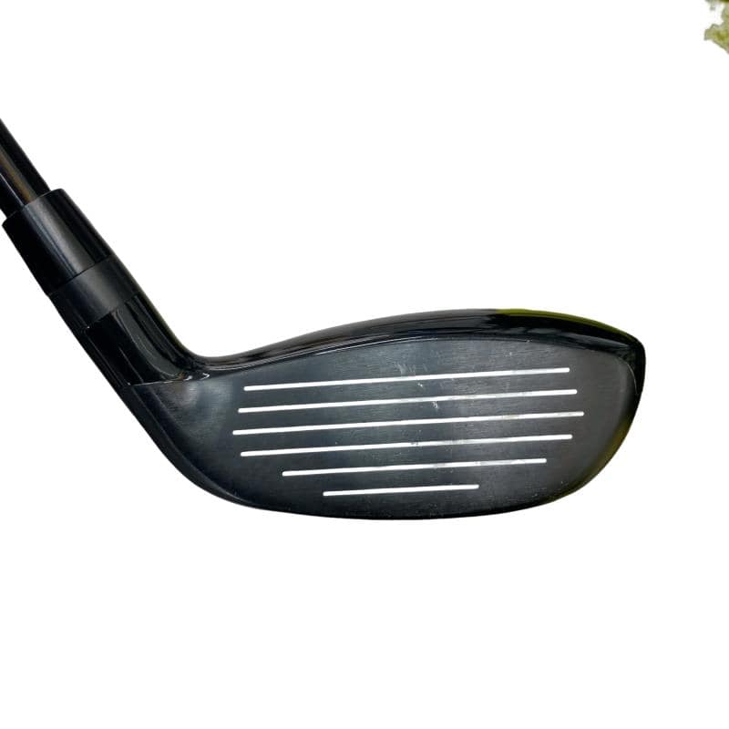 �l�����������@�o�����i�Q�O�P�X�j�@�t�S�@���t�e�B