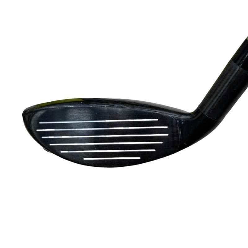 �w�@�g�n�s�@�t�S