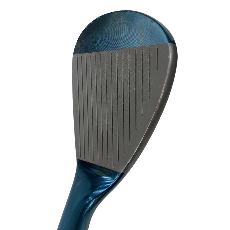 �l�����������@�o�����@�r�P�W�i�u���[�j�@�T�Q°�^�O�X°