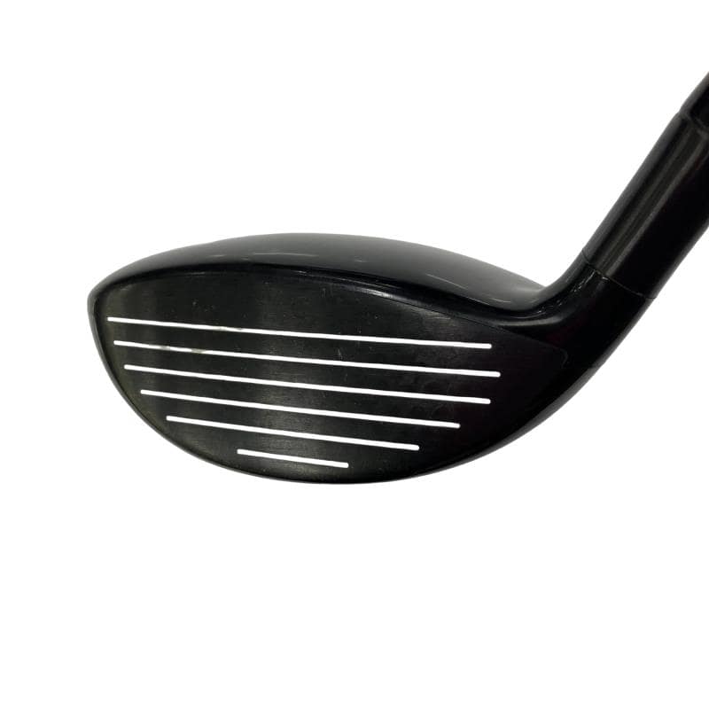 �w�Q�@�g�n�s�@�o�q�n�@�P�T°