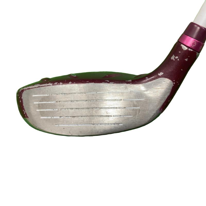 �f�@�k���Q�@�V�v�@���f�B�[�X