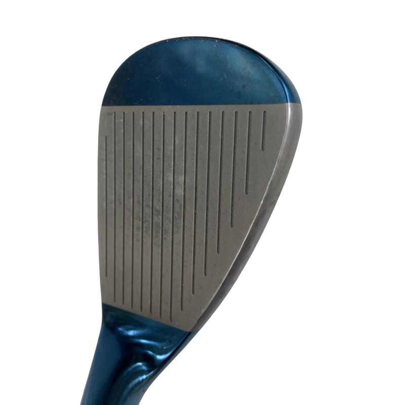 �l�����������@�s�Q�O�i�u���[�j�@�T�Q°�^�O�X°