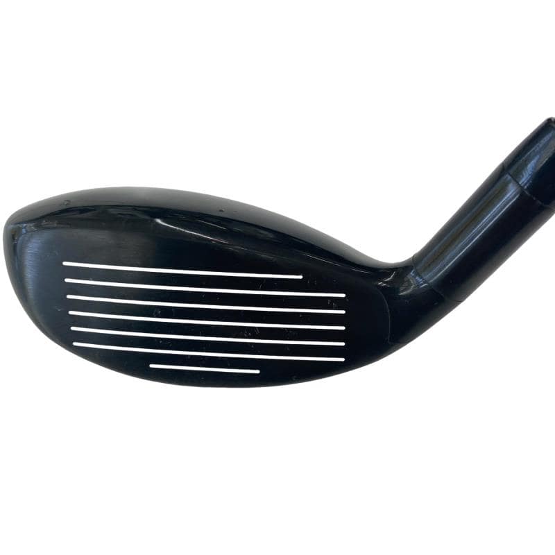 �w�Q�@�g�n�s�@�o�q�n�@�P�W°