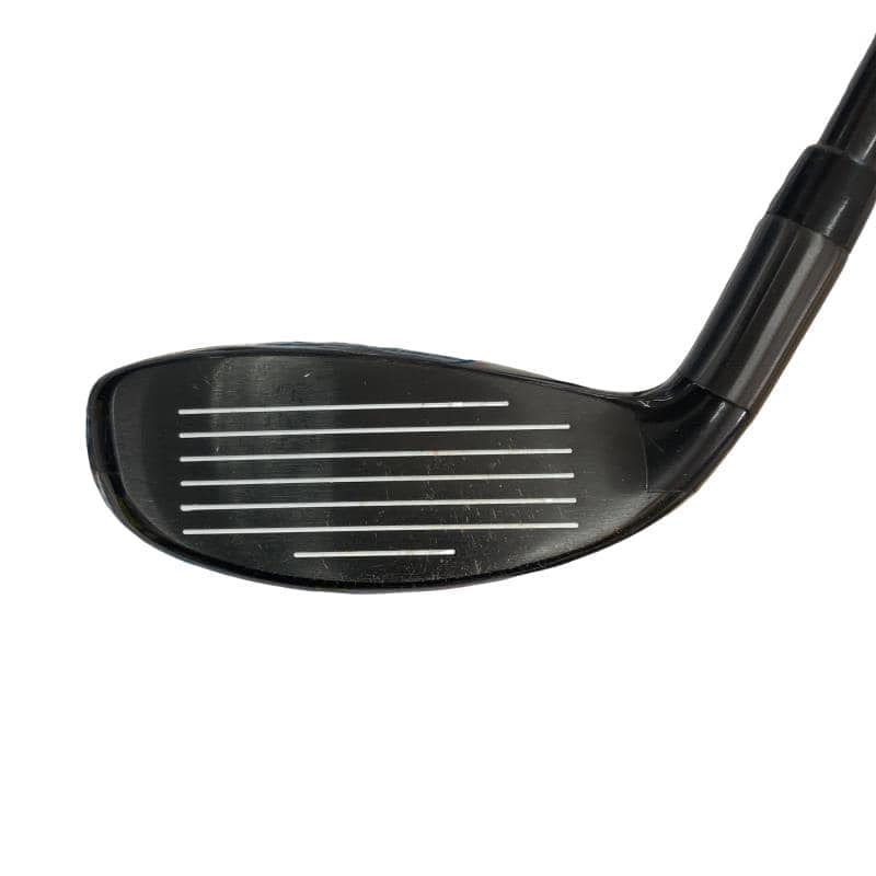 �w�Q�@�g�n�s�@�t�R