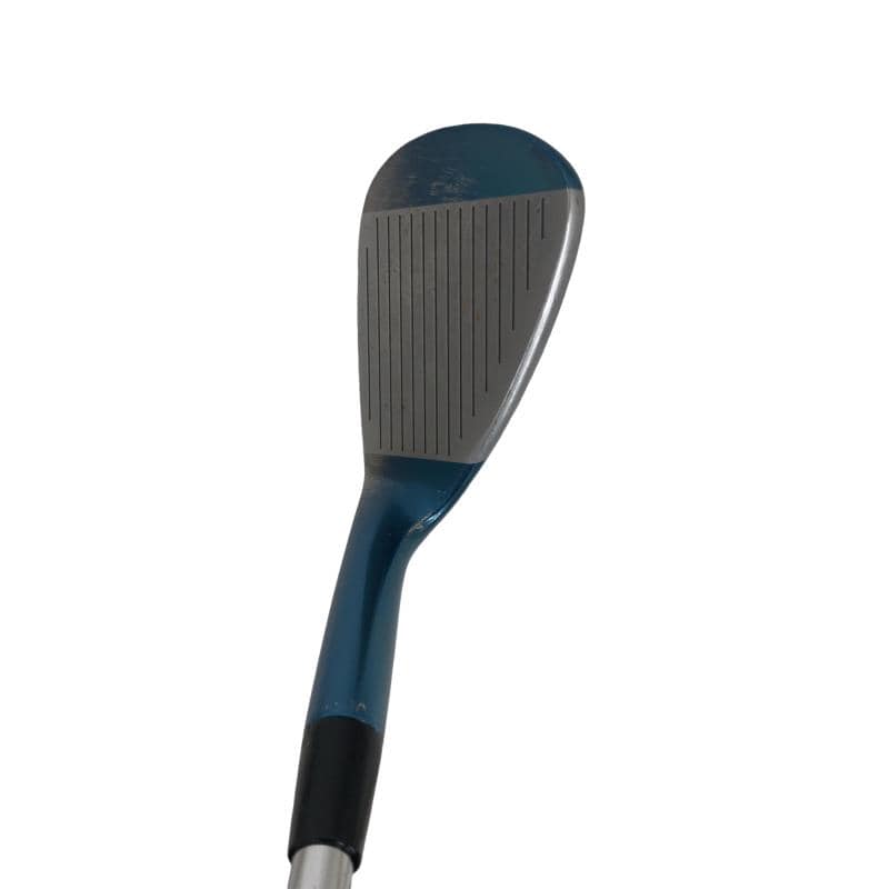 �l�����������@�s�Q�O�i�u���[�j�@�T�Q°�^�O�X°