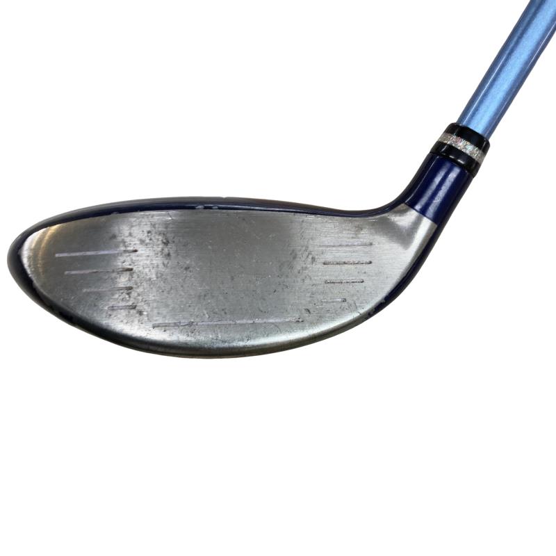 �������������@�t�c�{�Q�@�T�v�@���f�B�[�X