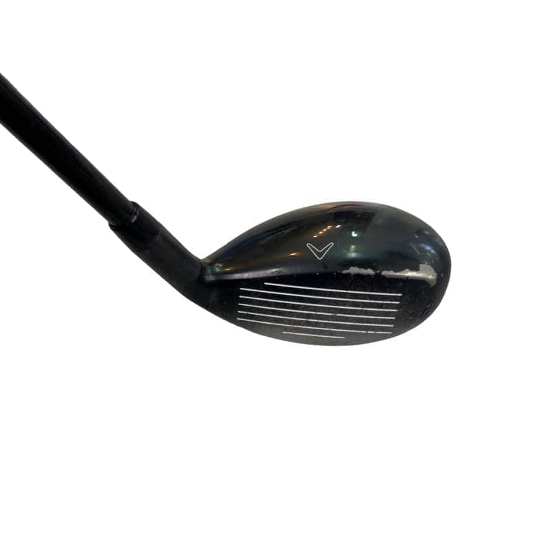 �w�Q�@�g�n�s�@�t�T�@���t�e�B