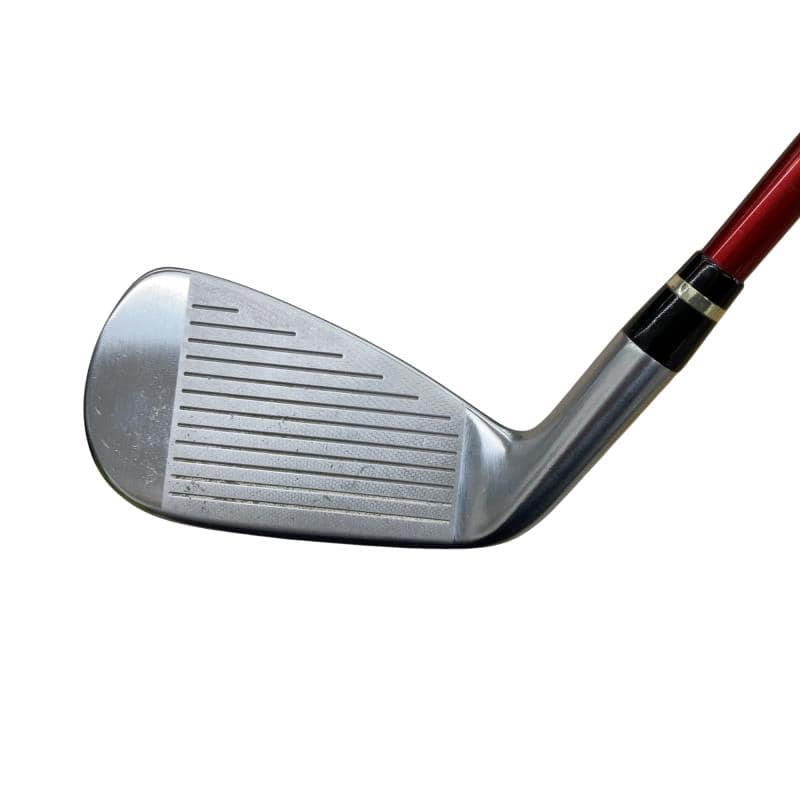 �������������@�q�l�w�@�t�c�{�Q�@�X�r�i���{���F�V�{�Z�b�g�j