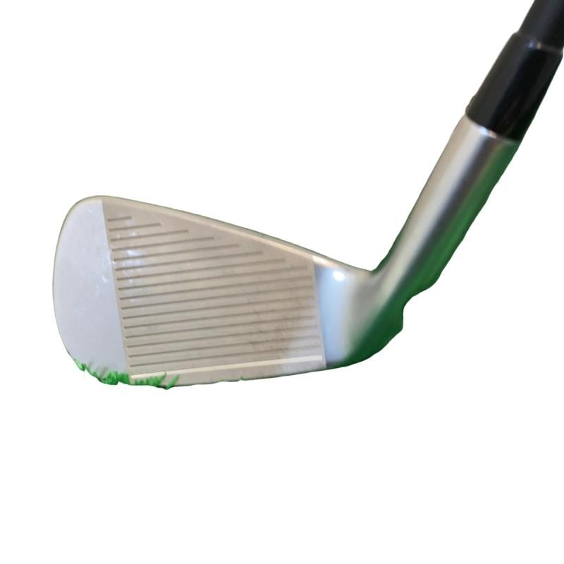 ���T�R�O�@�T�r�i���{���F�S�{�Z�b�g�j