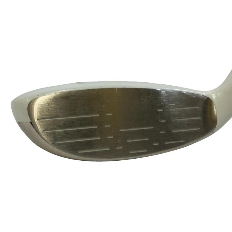 �����������i�Q�O�P�T�j�@�S�g�@���f�B�[�X