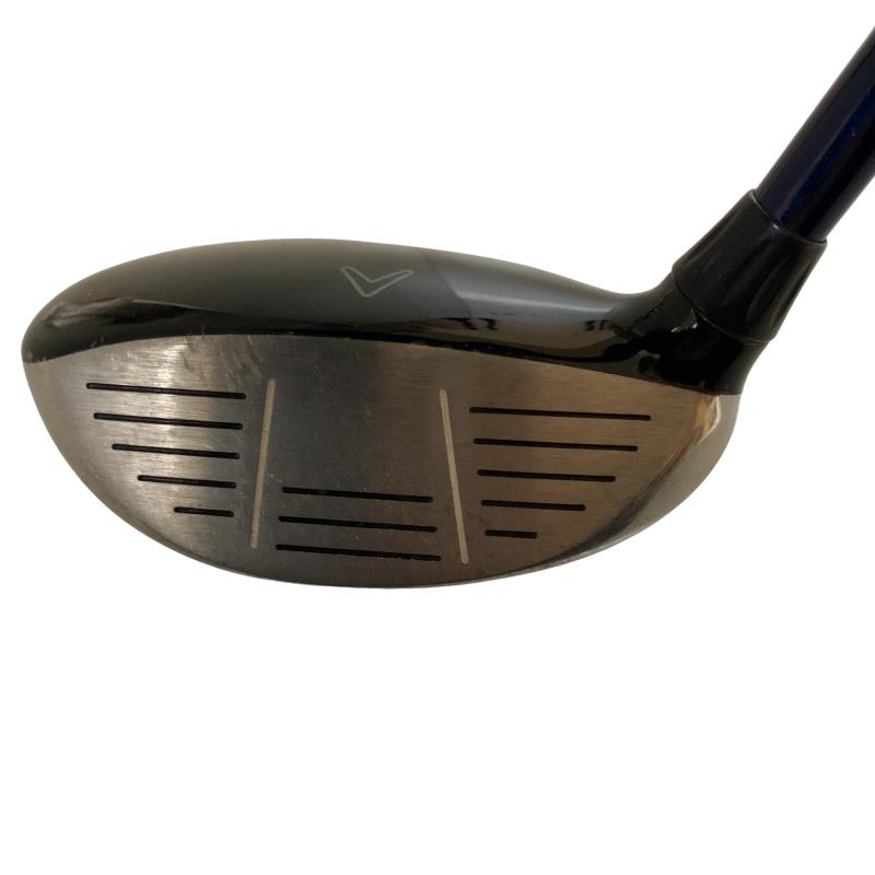 �w�@�c�q�r�@���[�e�B���e�B�@�S�g�i�Q�S°�j