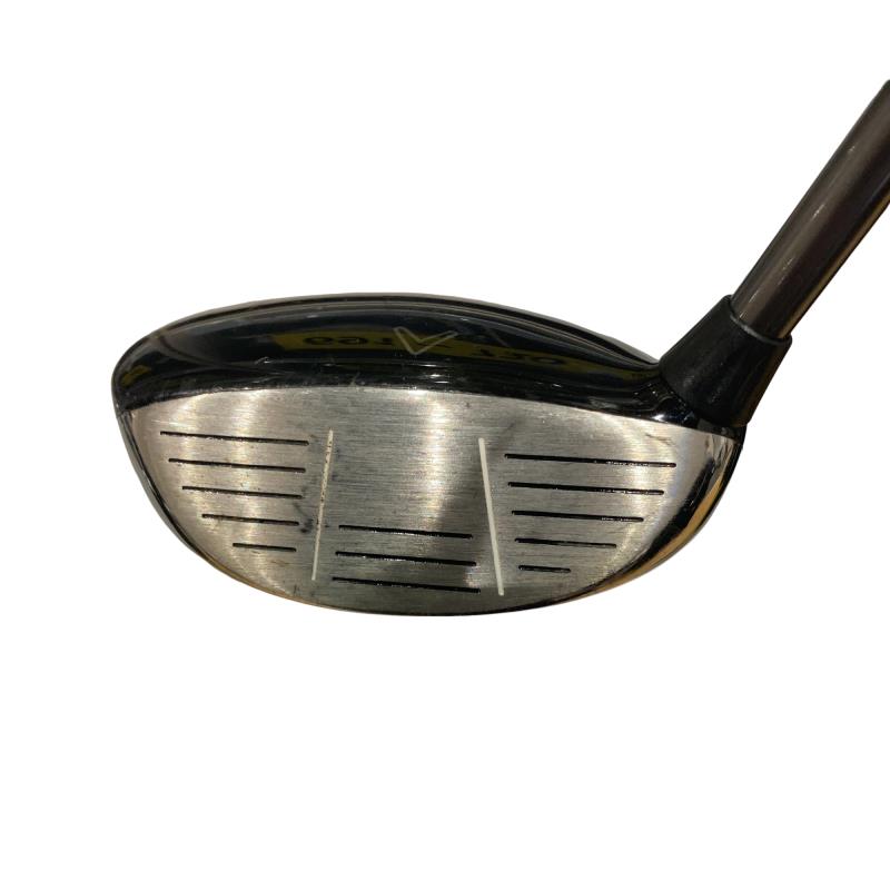 �w�@�c�q�r�@���[�e�B���e�B�@�S�g�i�Q�S°�j