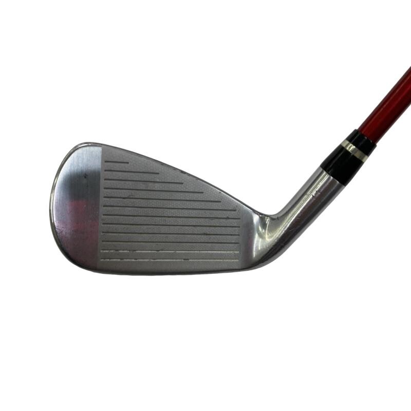 �������������@�q�l�w�@�t�c�{�Q�@�S�r�i���{���F�S�{�Z�b�g�j