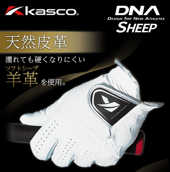 LXR St DNA SHEEP rv O[u GF-2012 p VR v V[v ubN zCg kasco