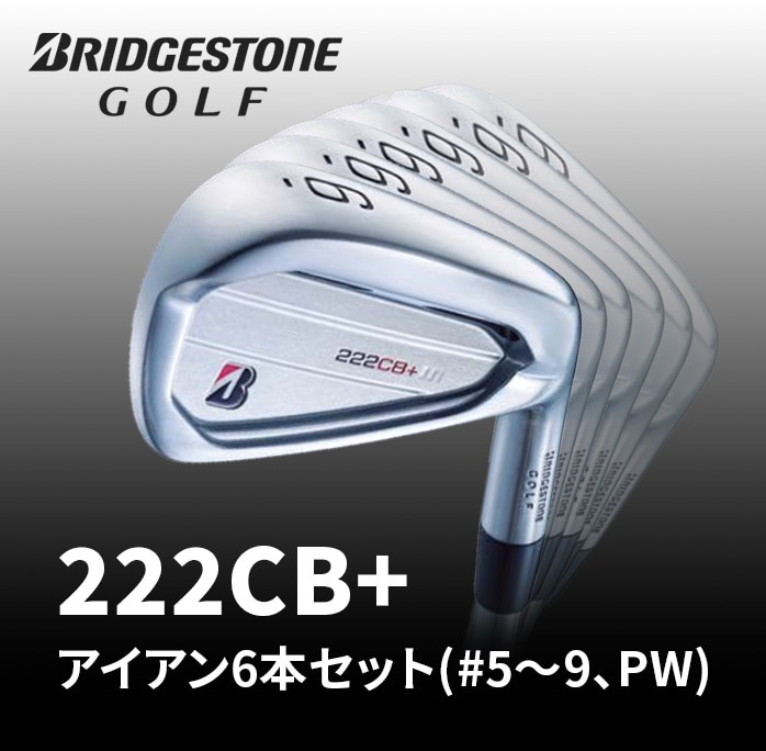 �ۏ؏��Ȃ� �V�i���g�p�i �u���a�X�g�� �S���t 222CB+ �A�C�A���Z�b�g 6�{�Z�b�g NS PRO 950GH neo S