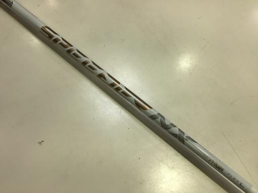 �o�q�f�q�@�O�T�i�Q�O�Q�R�j�@�S�r�@���f�B�[�X�i���{���F�S�{�Z�b�g�j