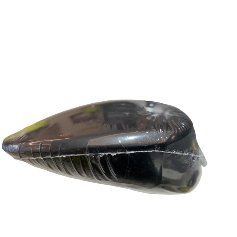 �����������@�c�`�q�j�r�o�d�d�c�@�w�@�T�v