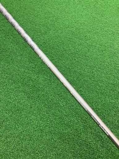 �p���P�O�@�l�`�w�@�T�v�@���f�B�[�X