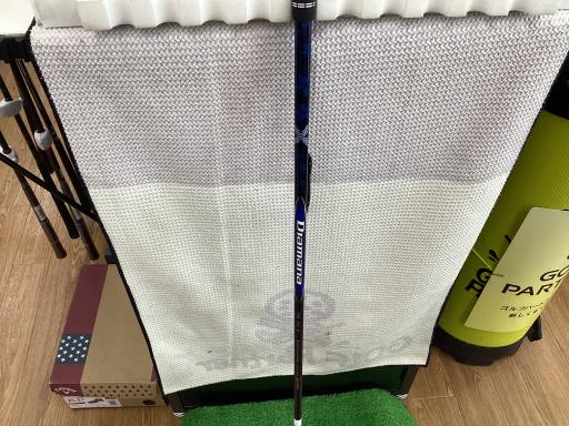 �p���P�O�@�T�v