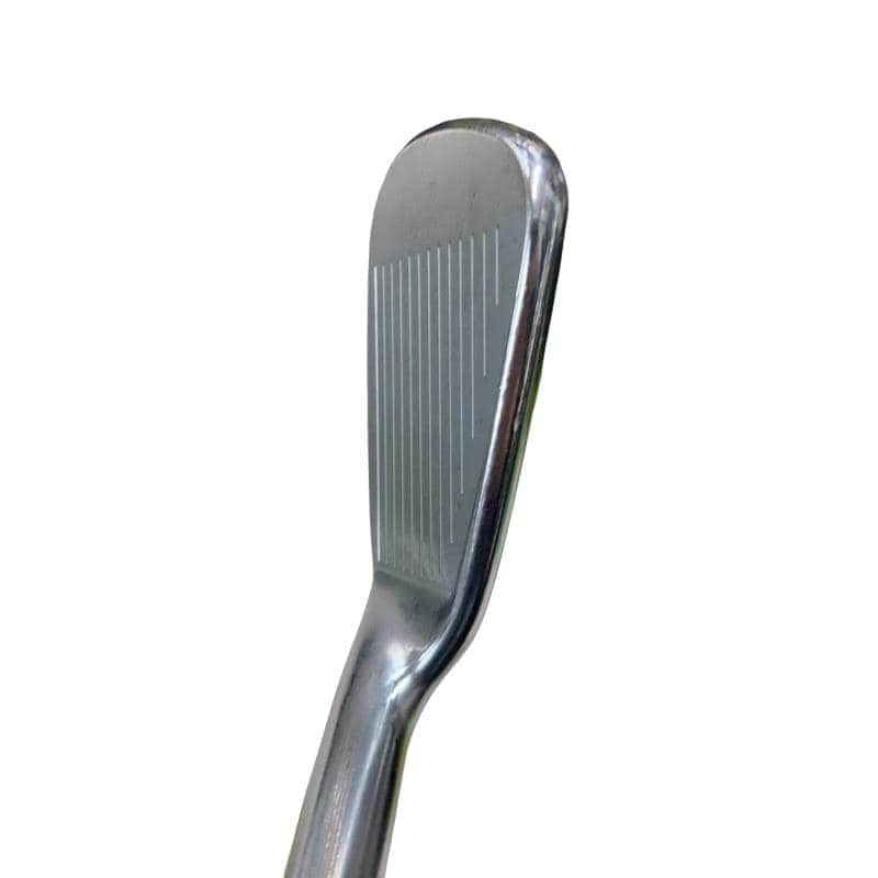 ���Q�P�O�@�X�r�i���{���F�X�{�Z�b�g�j