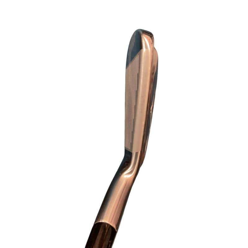 �l�����������@�o�����@�Q�Q�T�@�U�r�i���{���F�U�{�Z�b�g�j