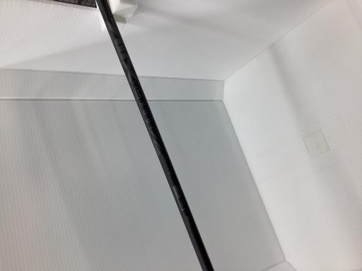 ＮＥＸＧＥＮ　ＮＳ２５０　１０．５°