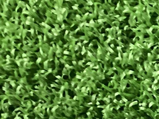 �q�l�w�@�u�c�T�X�@�P�O�D�T°