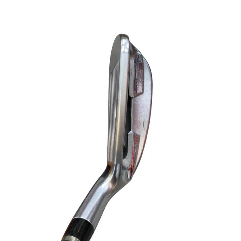 �������������@�q�l�w�@�t�c�{�Q�@�V�r�i���{���F�U�{�Z�b�g�j