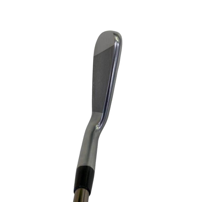 ���T�R�O�@�T�r�i���{���F�S�{�Z�b�g�j