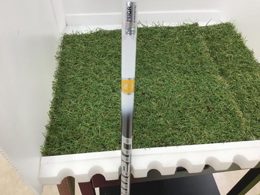 qr@c@itrsiQOQQj@PODT°