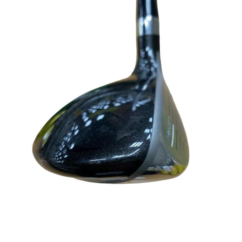 �u�q�Q�r�@���[�e�B���e�B�@�t�S�@�t�r�`