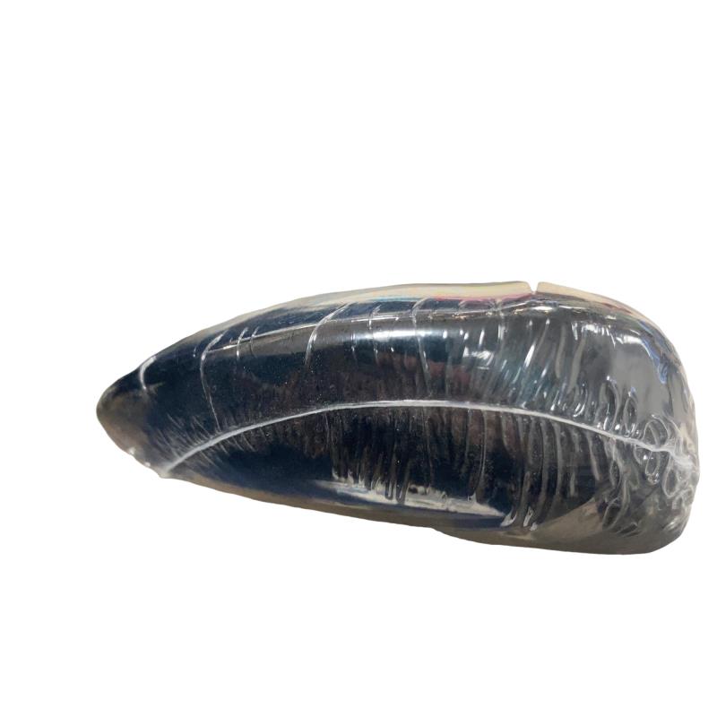 �w�w�h�n�i�Q�O�Q�S�j�@�������@�T�v