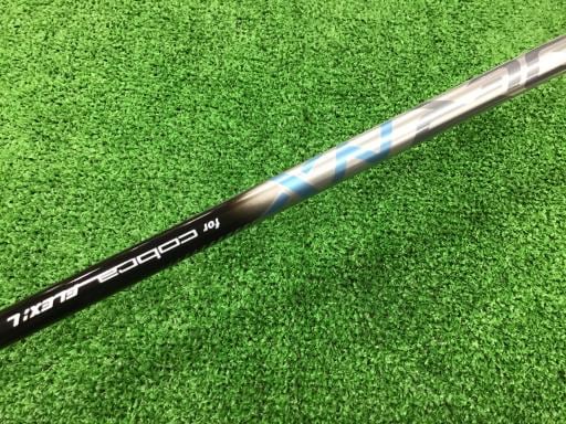 �����������@�`�d�q�n�i�d�s�@�t�T�@���f�B�[�X