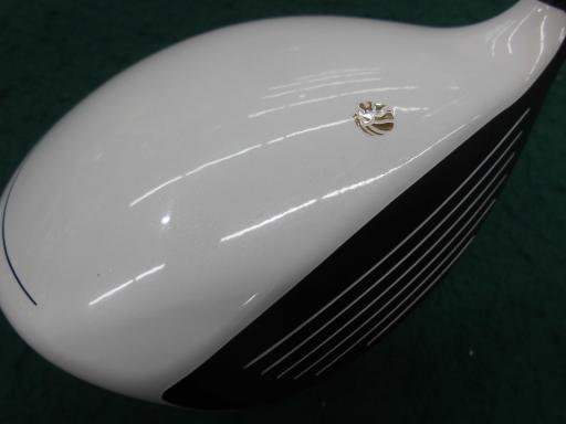 �f�k�n�h�q�d�@�e�i�Q�O�P�U�j�@�R�v