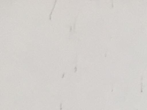 �w�w�h�n�@�o�q�h�l�d�i�Q�O�O�V�j�@�S�v