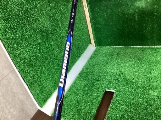 �p���P�O�@�T�v