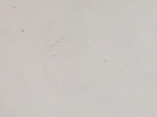 sntq@vnqkc@sv|viQOPUj@TW°^PQ°