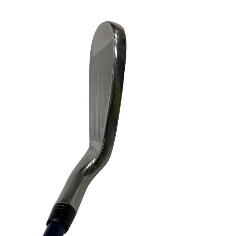 �w�w�h�n�i�Q�O�P�U�j�@�U�r�@���f�B�[�X�i���{���F�U�{�Z�b�g�j