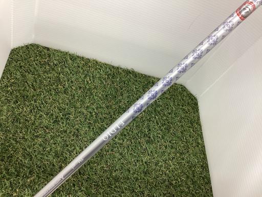 �p���P�O�@�l�`�w�@�t�U�@���f�B�[�X