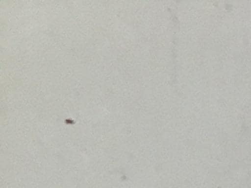 @cr|`c`os@l`w|c@PODT°